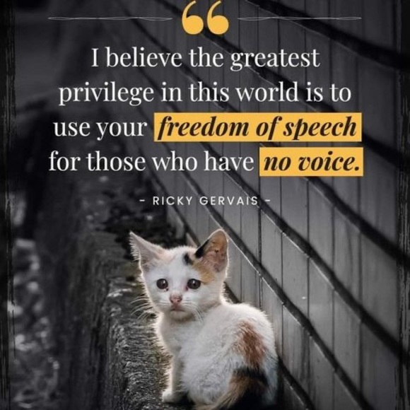 Meet your Posher, Hope - Picture 1 of 1